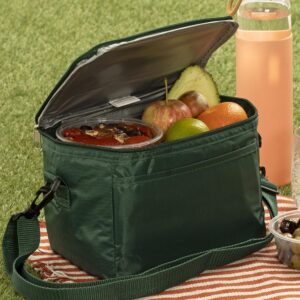 6 Can Cooler Bag